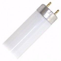 Triangle Bulbs T30137 - F15T8/D 15-Watt Straight T8 Fluorescent Tube Light Bulb, Daylight 6500K