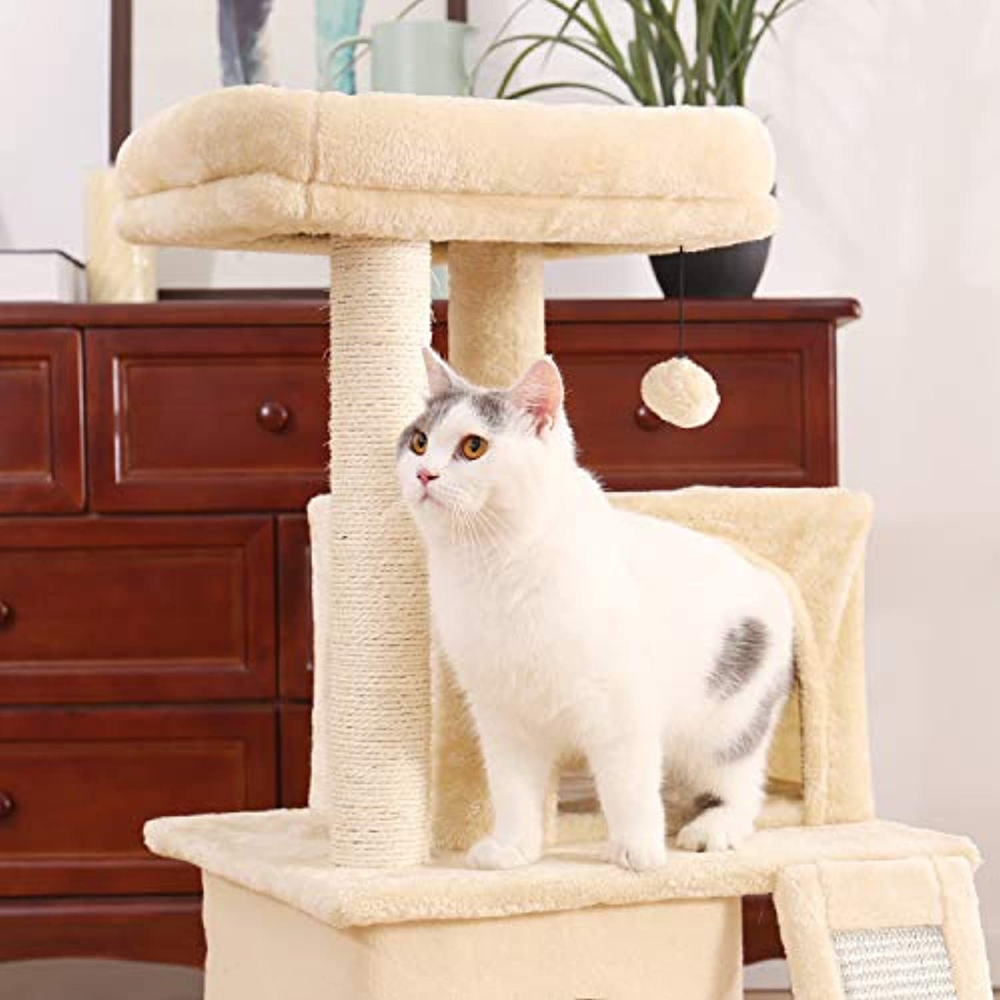 PAWZ Road Cat Tree Luxury Cat Tower with Double Condo, AWJ0420M Beige - Preowned