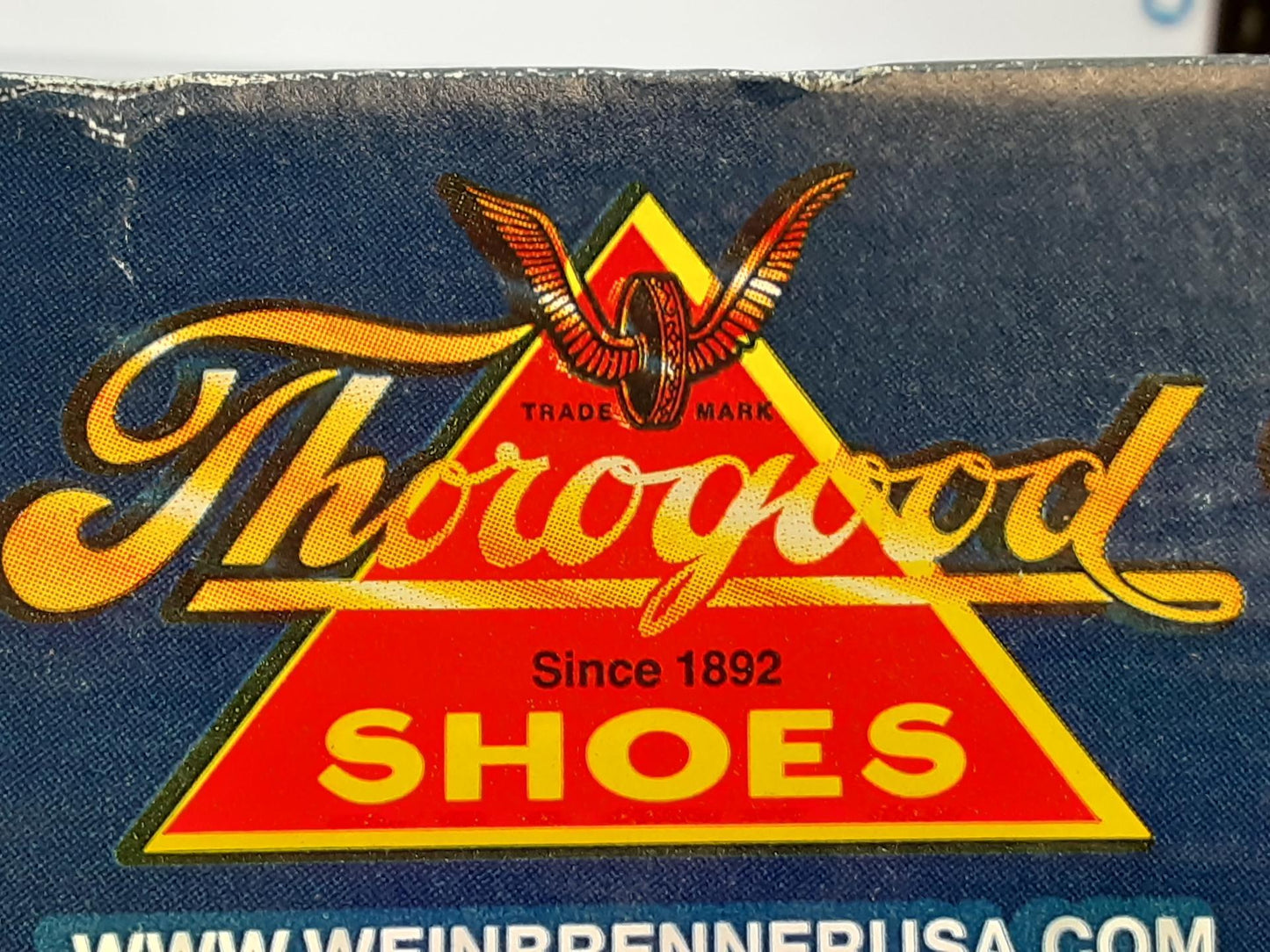 Thorgood Shoes Leather With Dri-lex, & safety toe 804-6511 Size 4.5 EEE